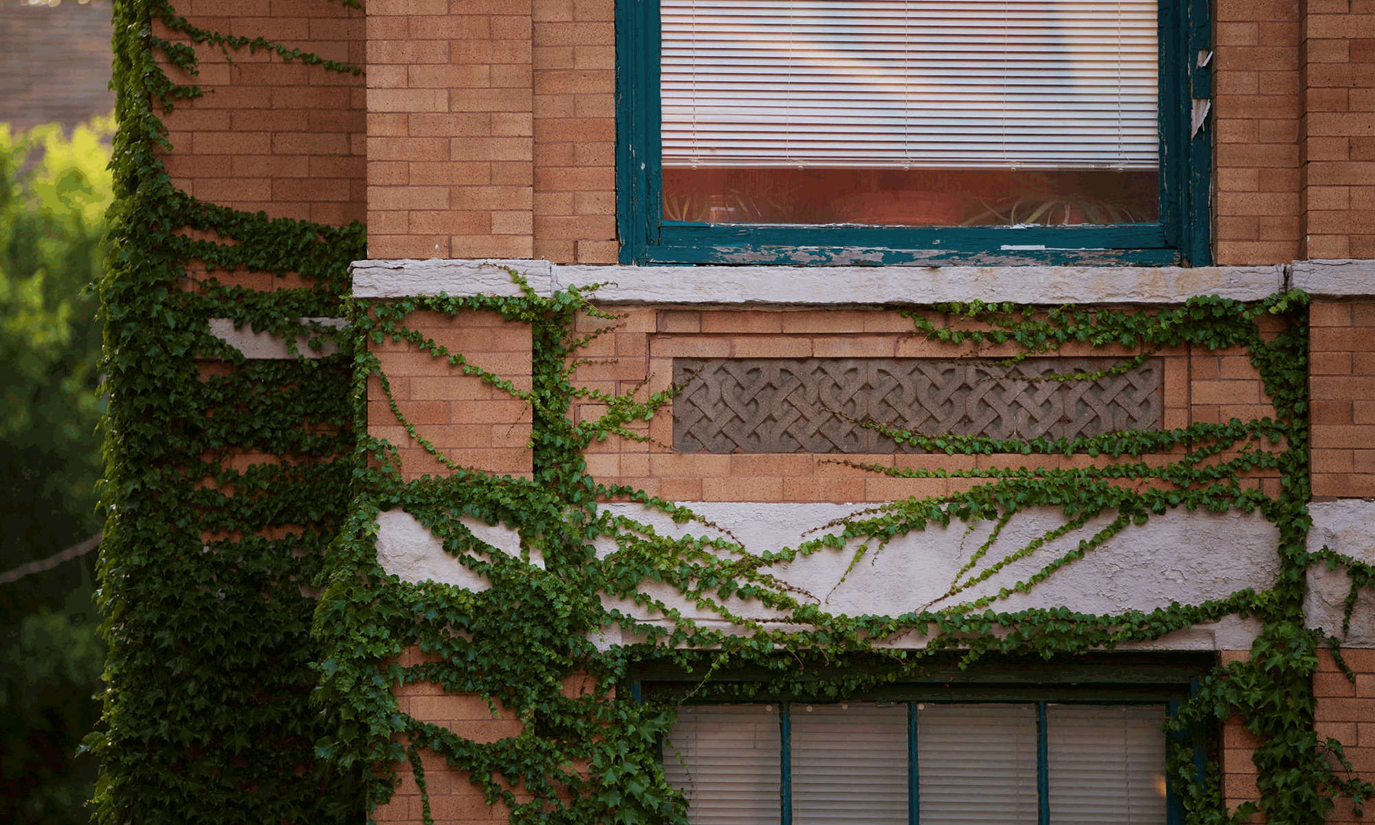 Ivy lintel